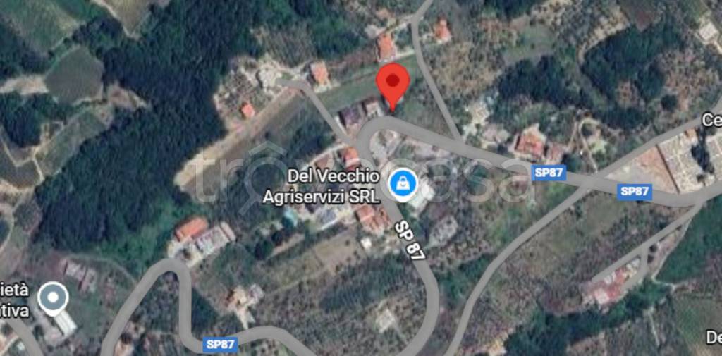 immagine annuncio 9 di 11