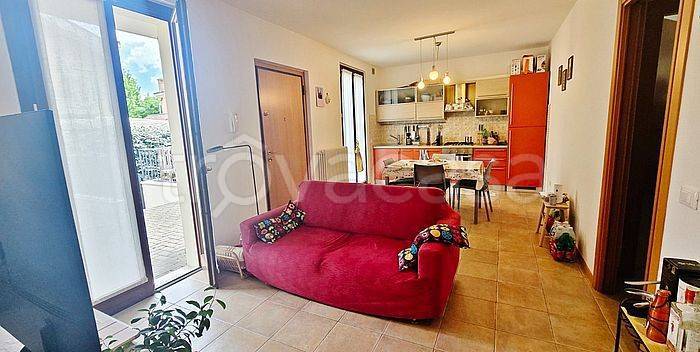 immagine annuncio 4 di 14