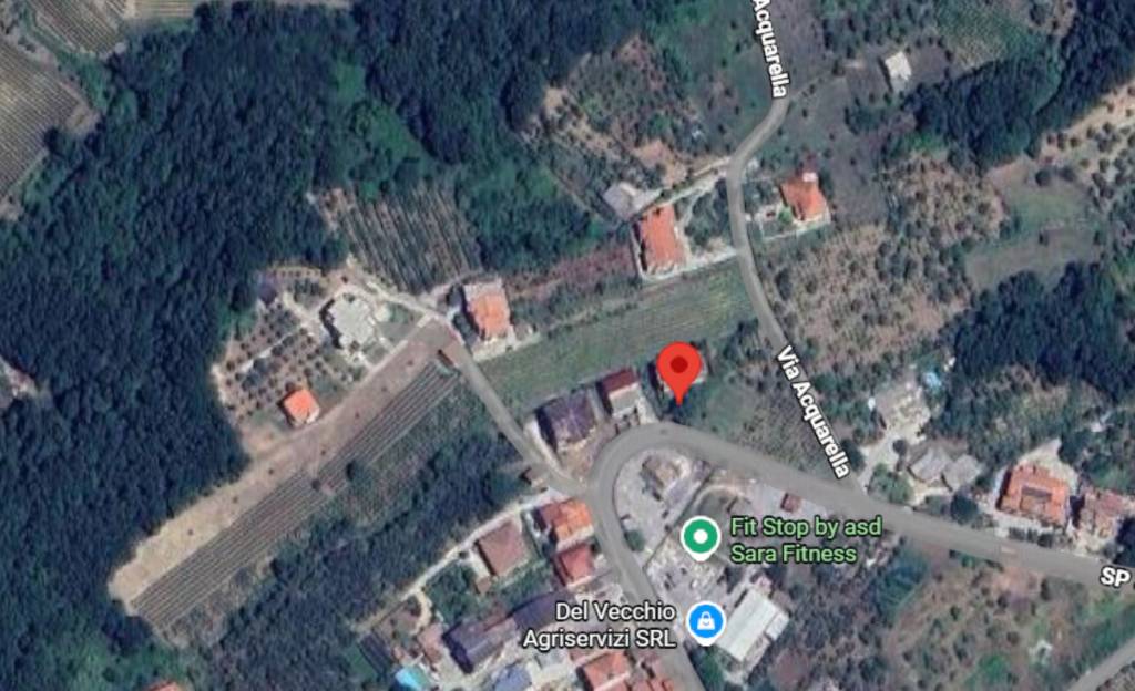 immagine annuncio 10 di 11