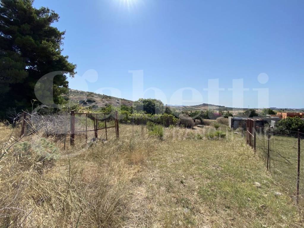 immagine annuncio 3 di 6