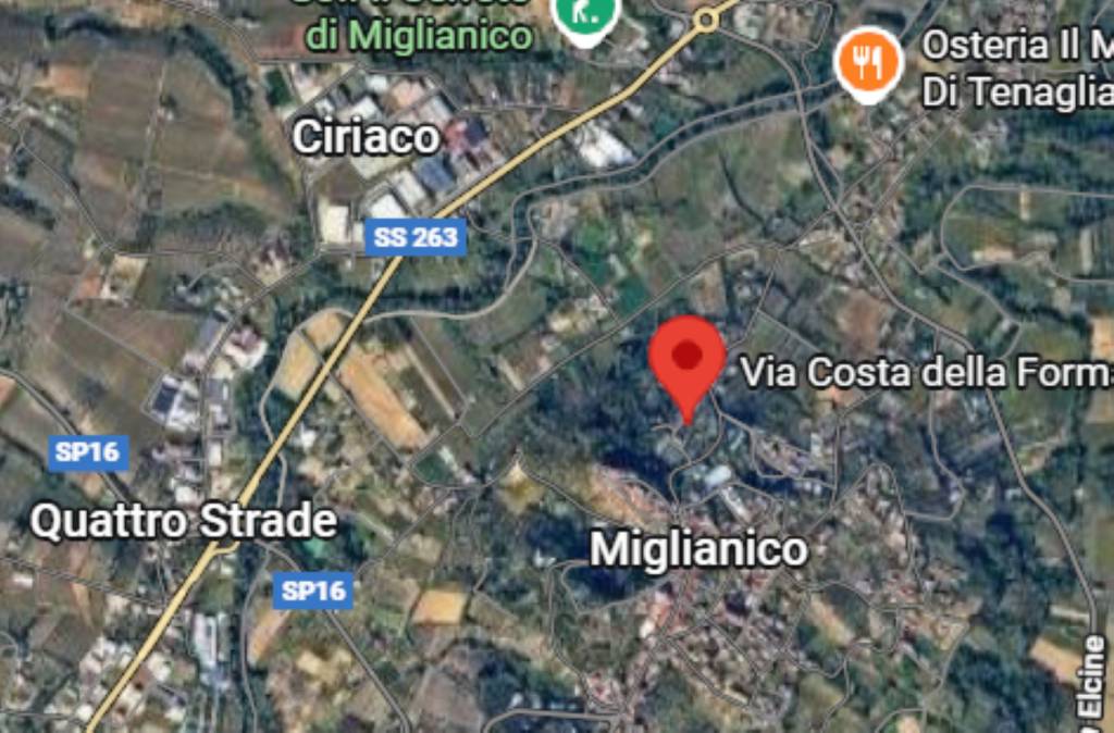 immagine annuncio 4 di 12