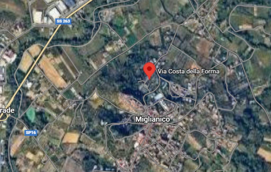 immagine annuncio 5 di 12