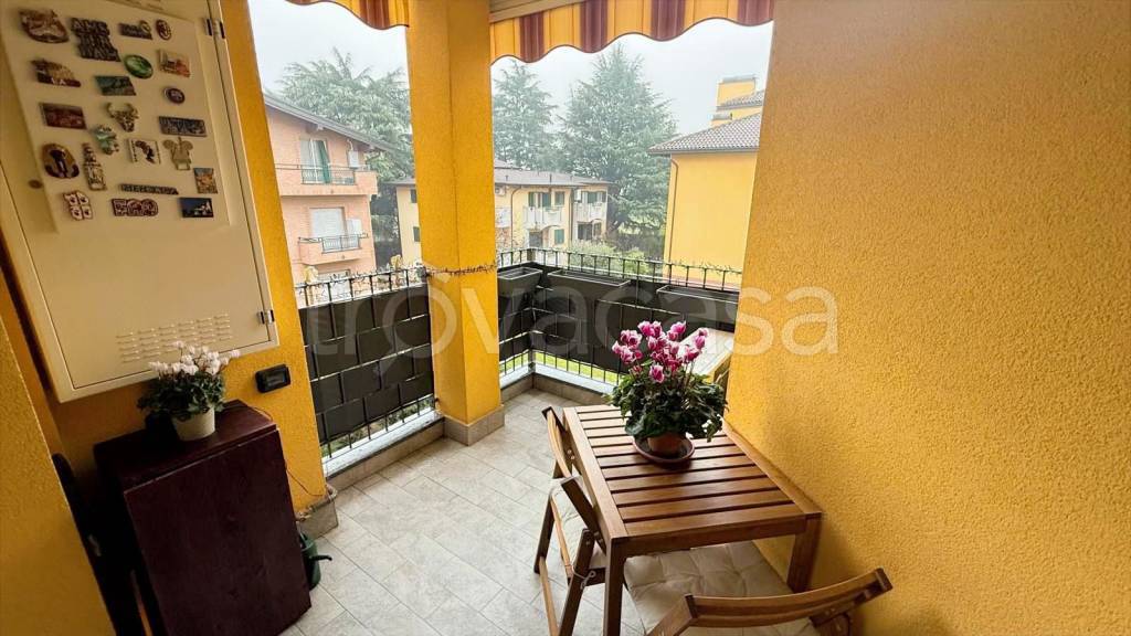 immagine annuncio 10 di 15