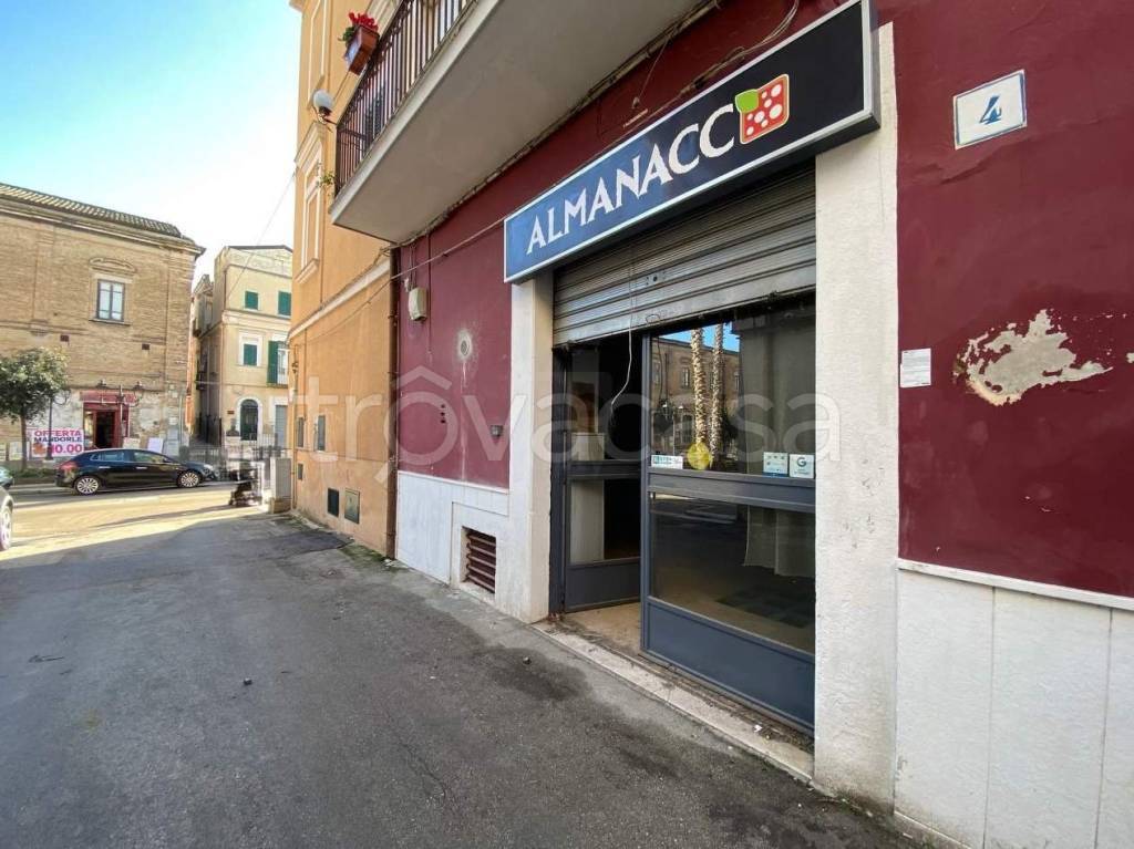 immagine annuncio 1 di 14