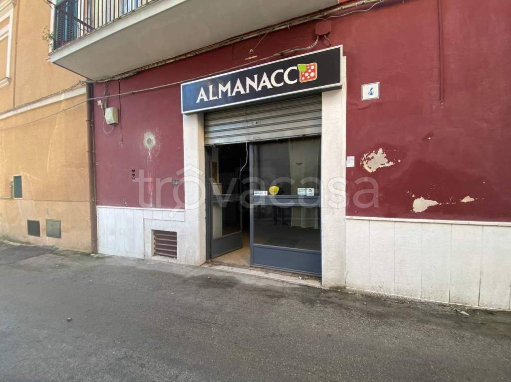 immagine annuncio 3 di 14