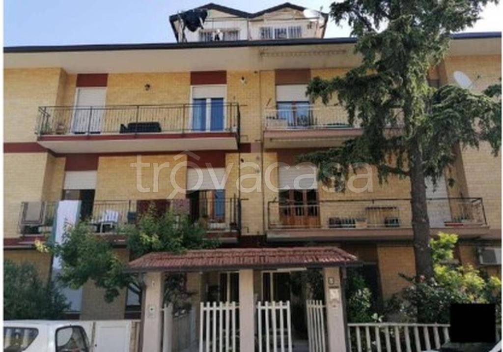 immagine annuncio 12 di 13