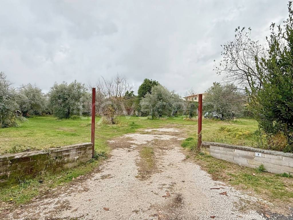 immagine annuncio 2 di 8