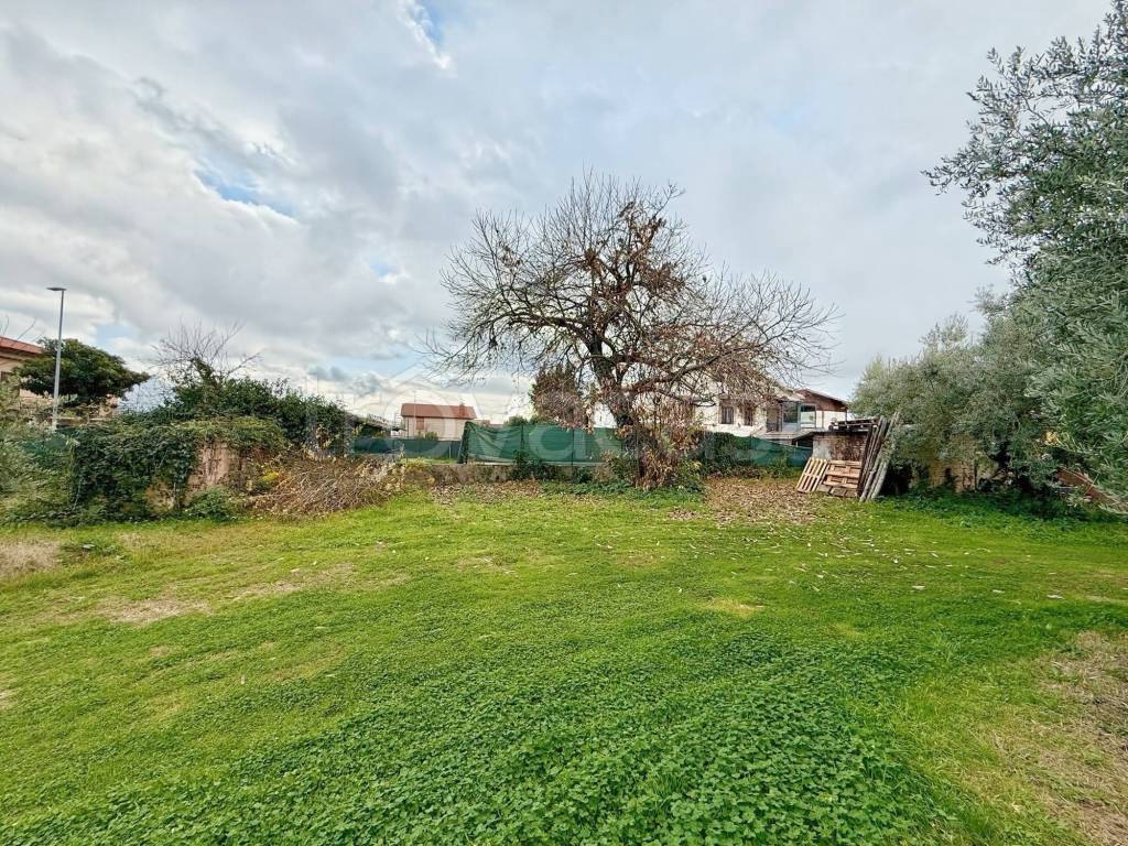 immagine annuncio 4 di 8