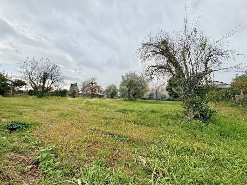 immagine annuncio 5 di 8