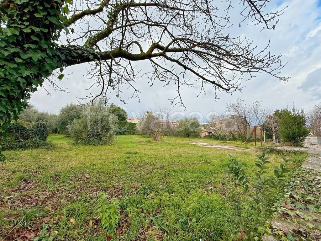 immagine annuncio 6 di 8