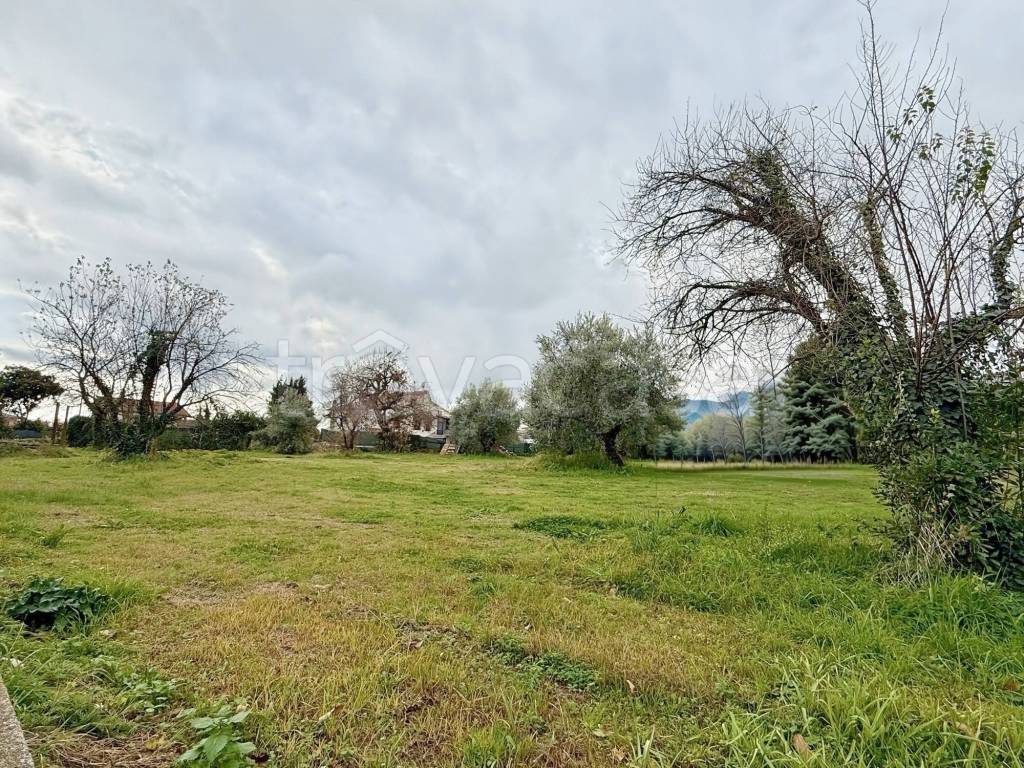 immagine annuncio 7 di 8