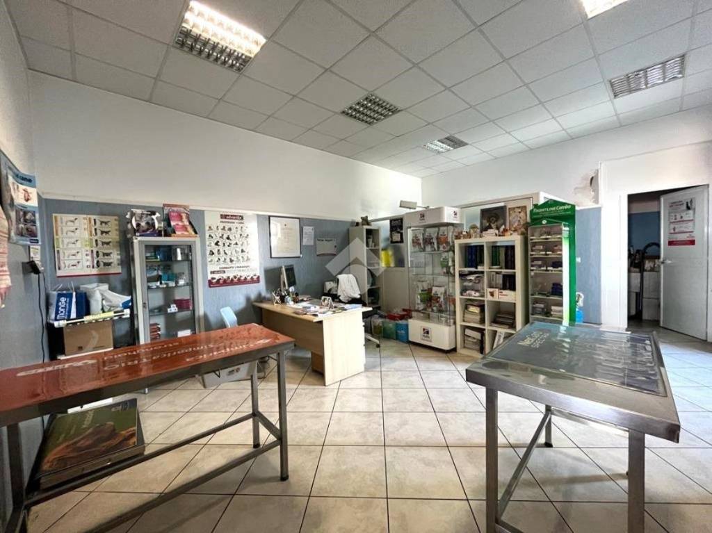 immagine annuncio 2 di 8