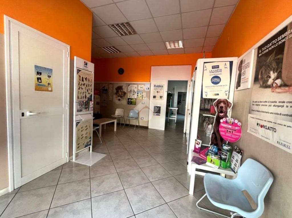 immagine annuncio 3 di 8