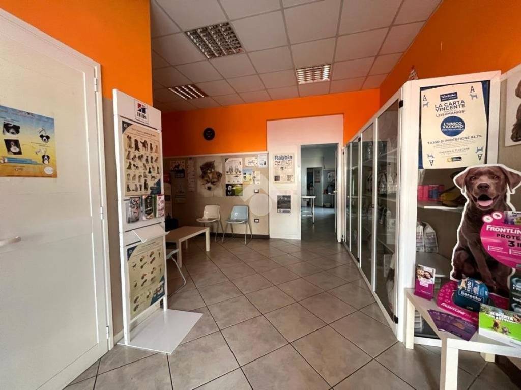 immagine annuncio 5 di 8