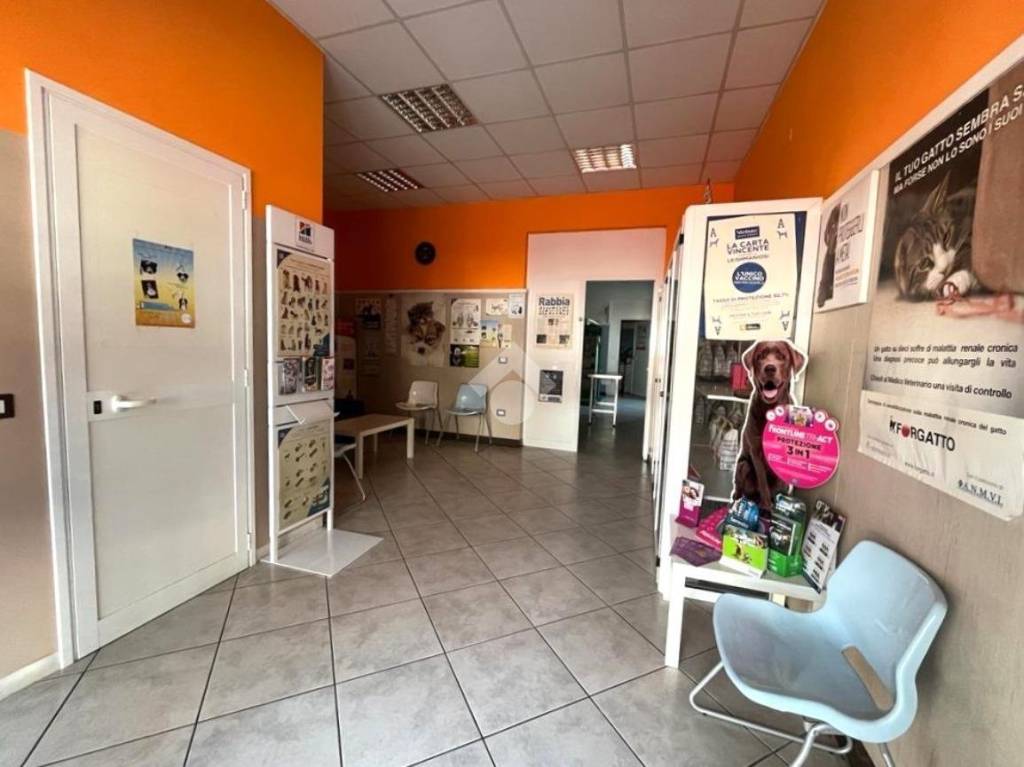 immagine annuncio 6 di 8