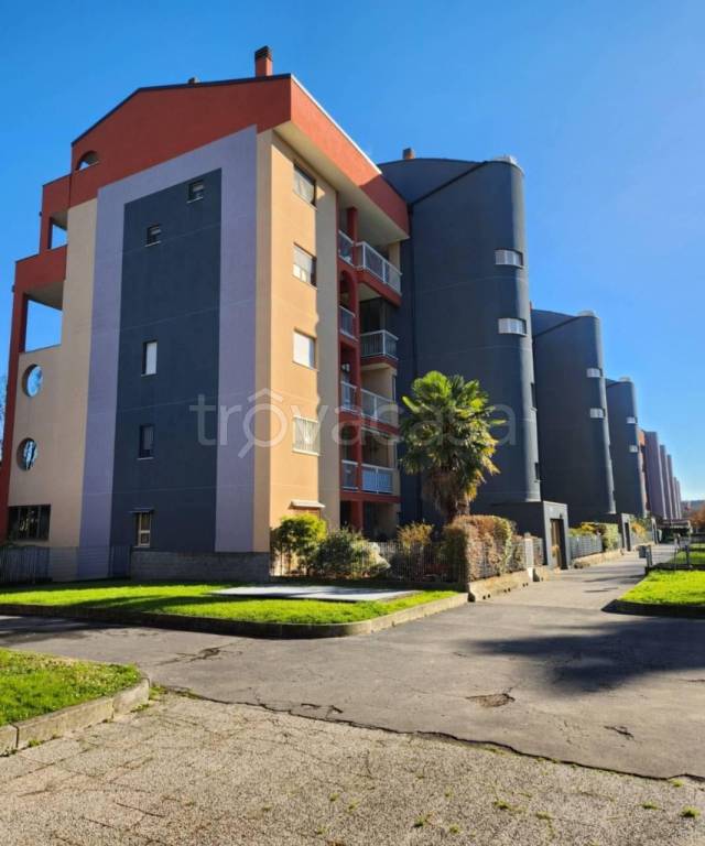 immagine annuncio 11 di 15