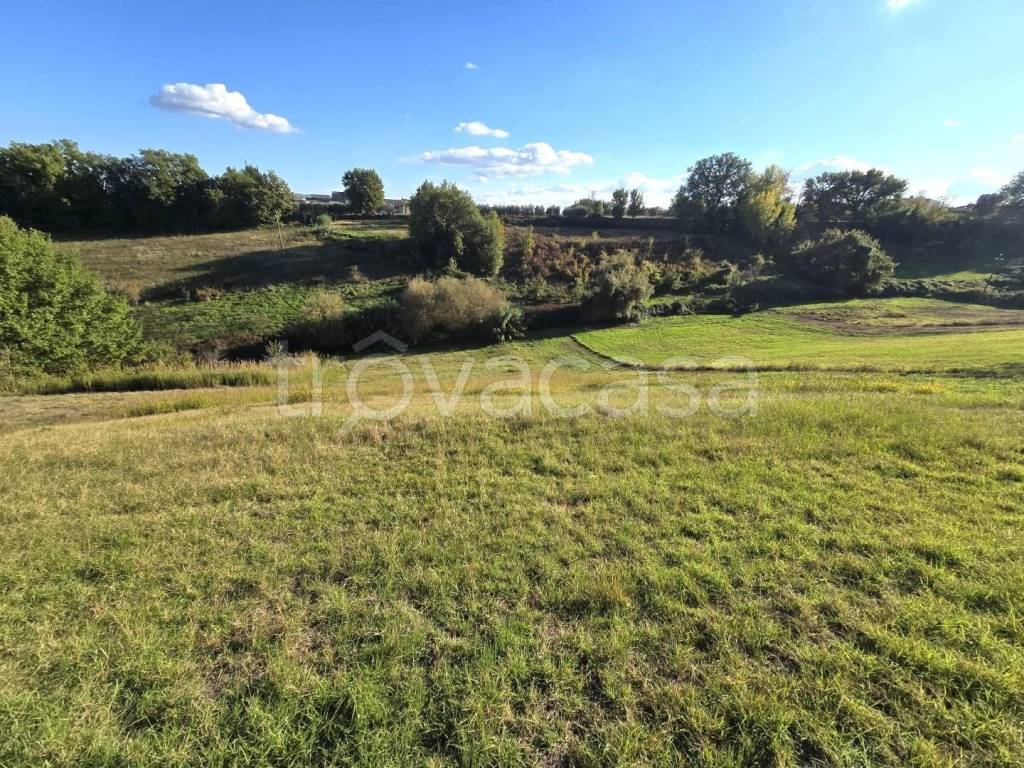 immagine annuncio 2 di 6