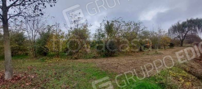 immagine annuncio 8 di 14