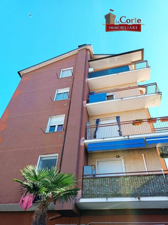 immagine annuncio 12 di 13