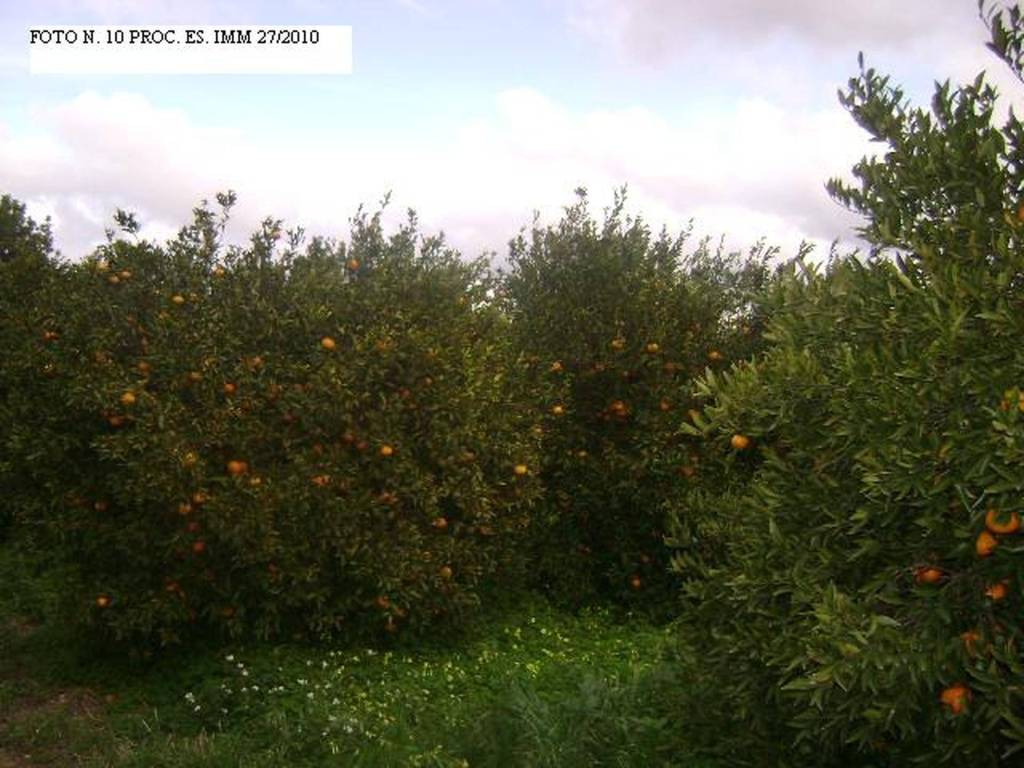 immagine annuncio 3 di 11