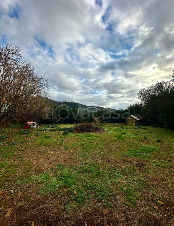 immagine annuncio 2 di 7