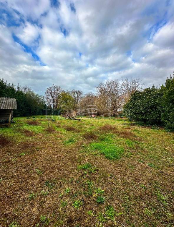 immagine annuncio 4 di 7