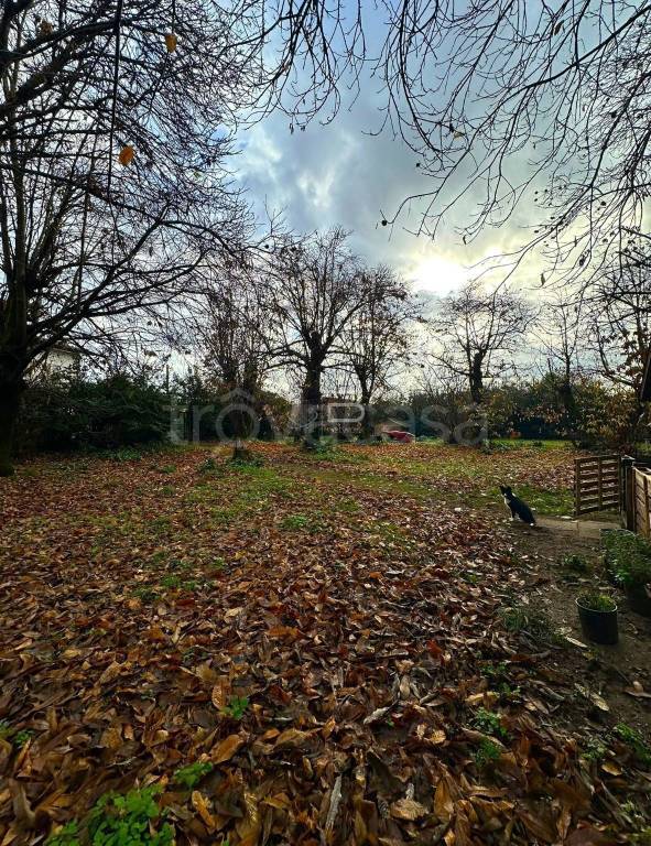 immagine annuncio 6 di 7