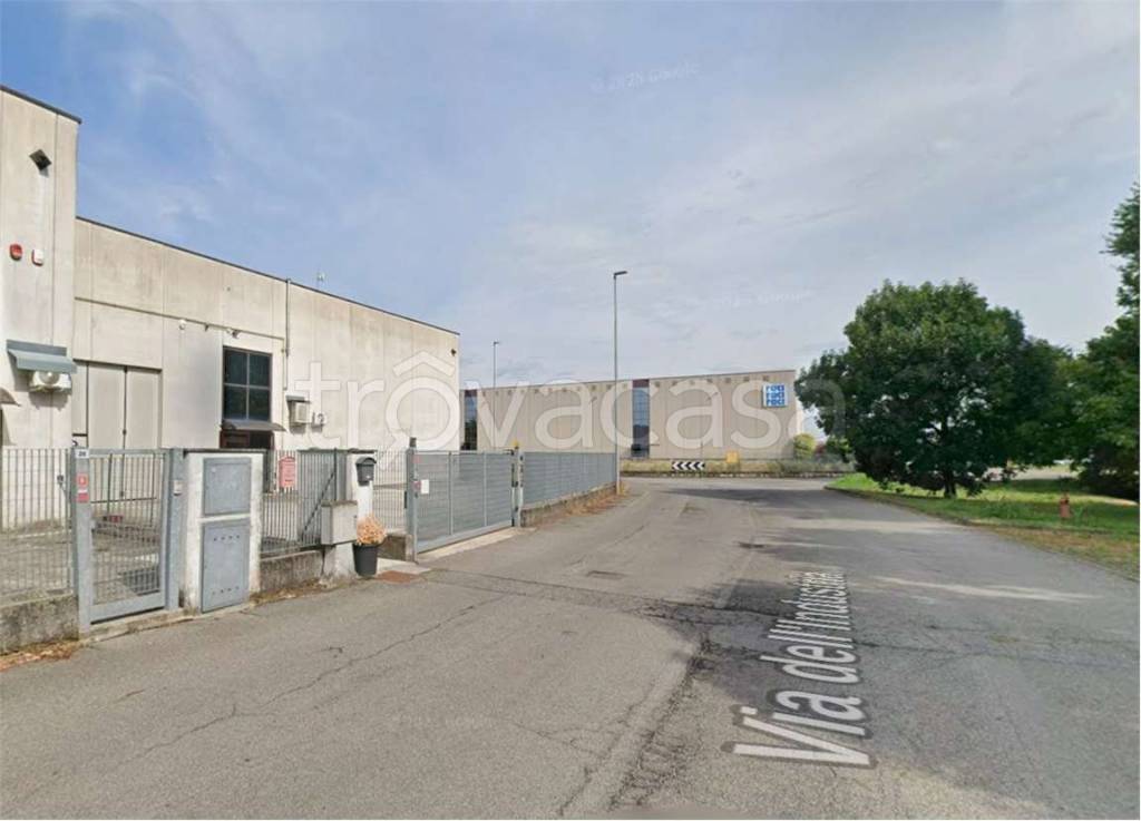 immagine annuncio 3 di 15