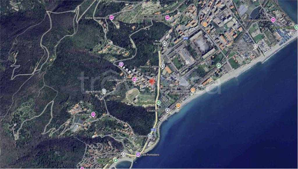 immagine annuncio 3 di 14