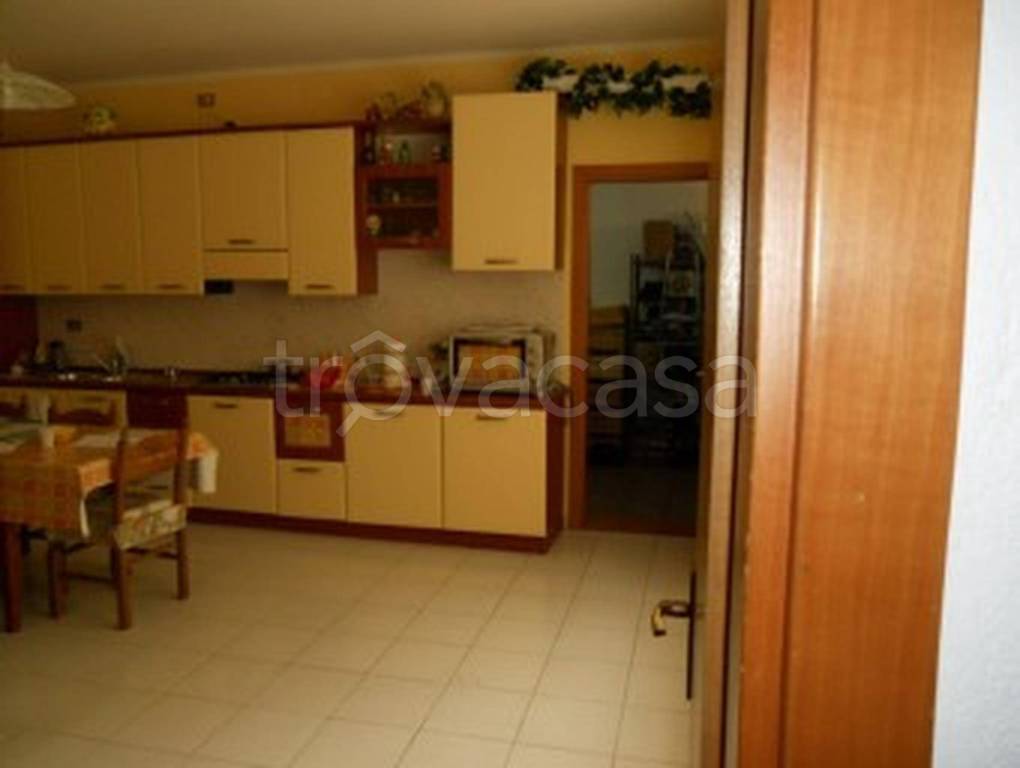 immagine annuncio 4 di 14