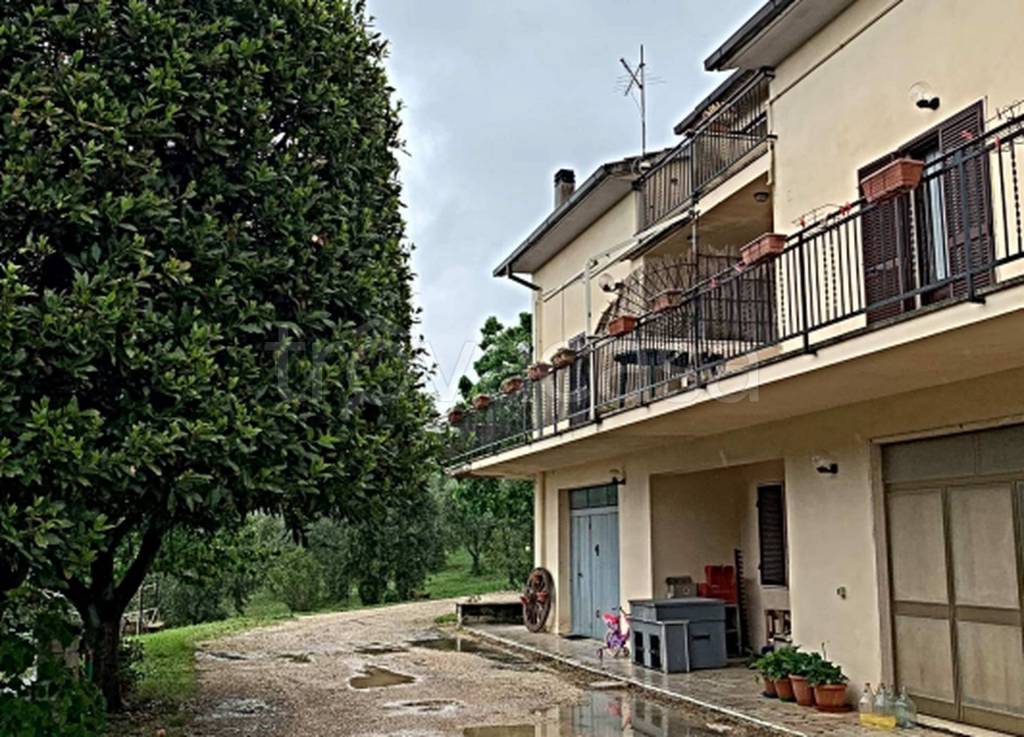 immagine annuncio 5 di 13