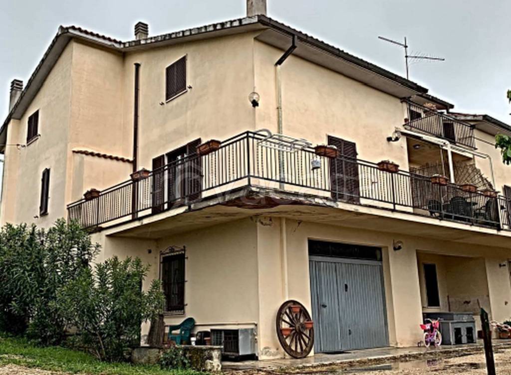 immagine annuncio 6 di 13