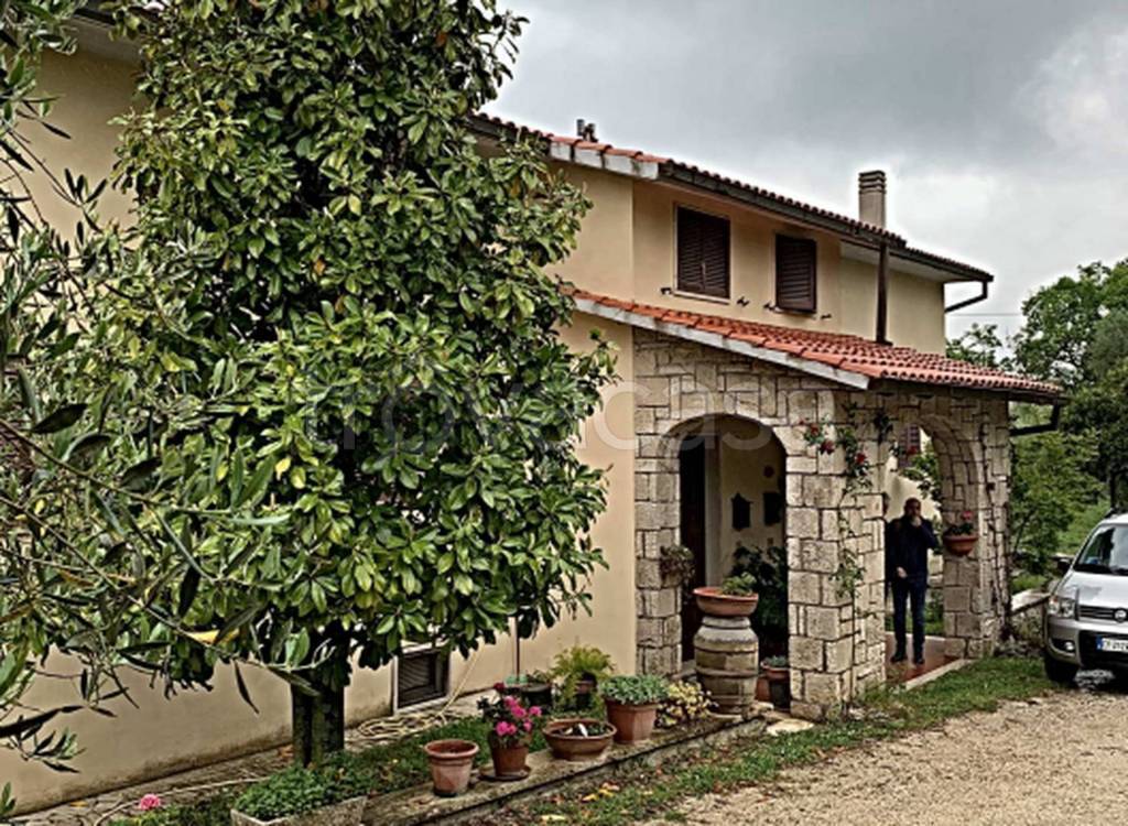 immagine annuncio 7 di 13