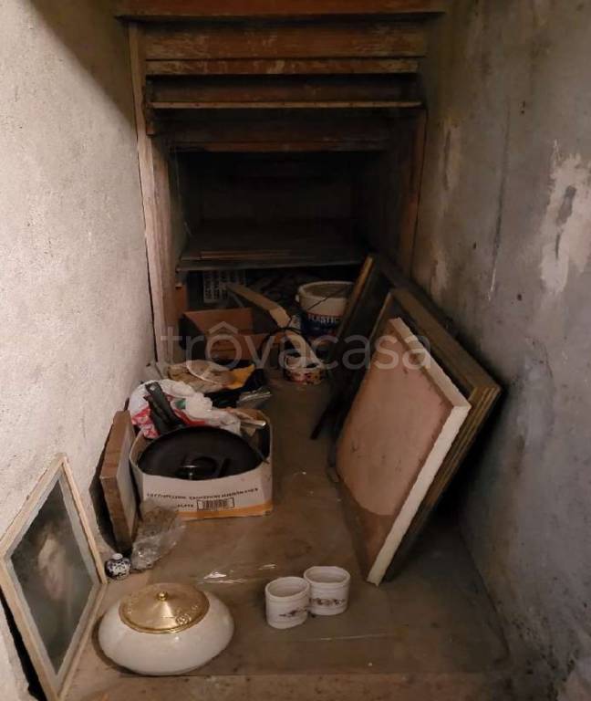 immagine annuncio 9 di 14