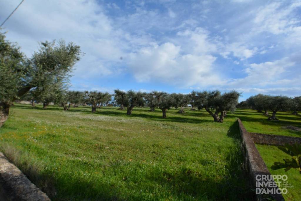 immagine annuncio 2 di 4