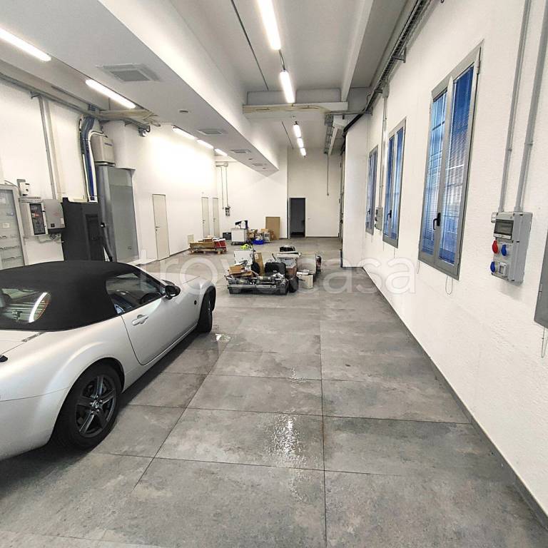 immagine annuncio 4 di 15