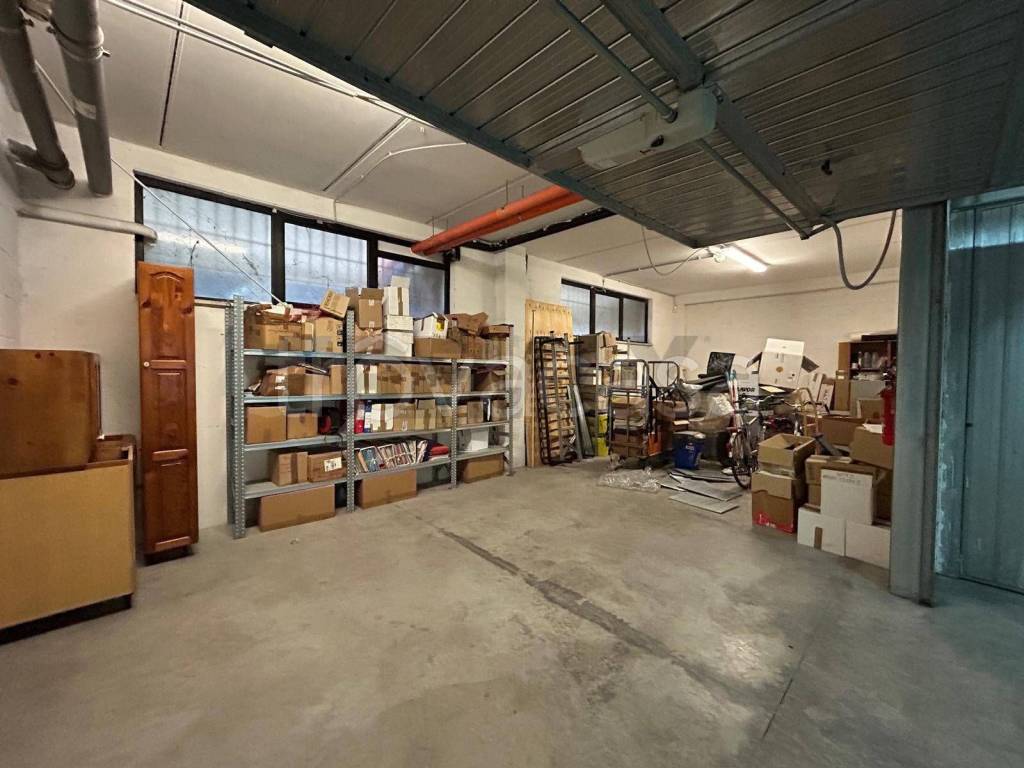 immagine annuncio 11 di 15