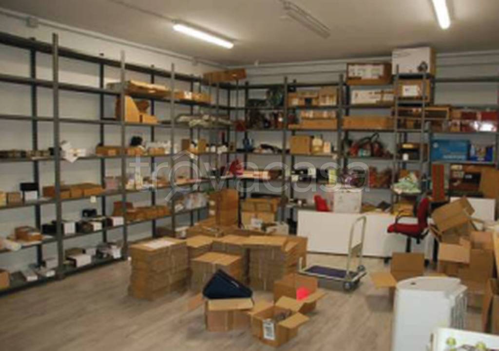 immagine annuncio 2 di 11