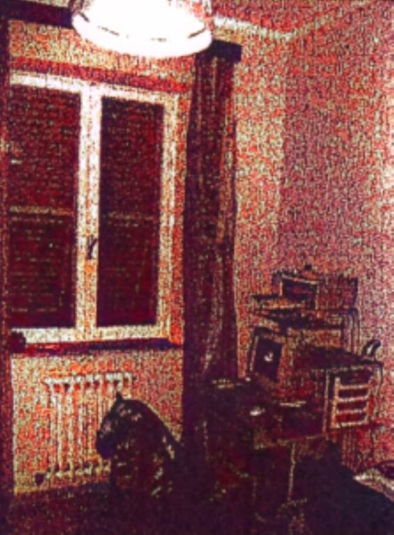 immagine annuncio 1 di 11