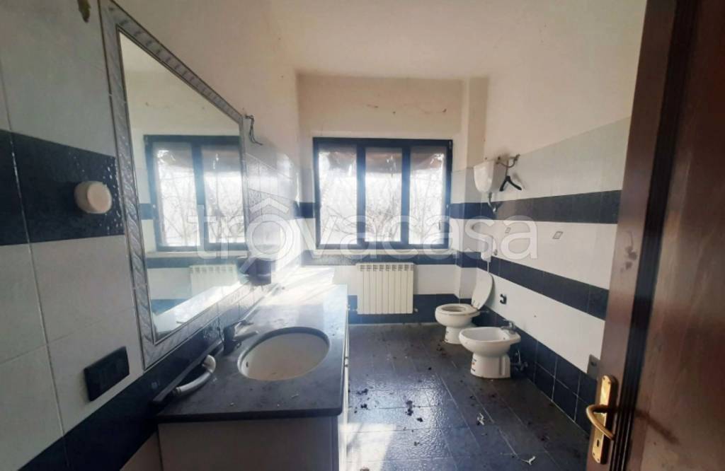 immagine annuncio 6 di 12