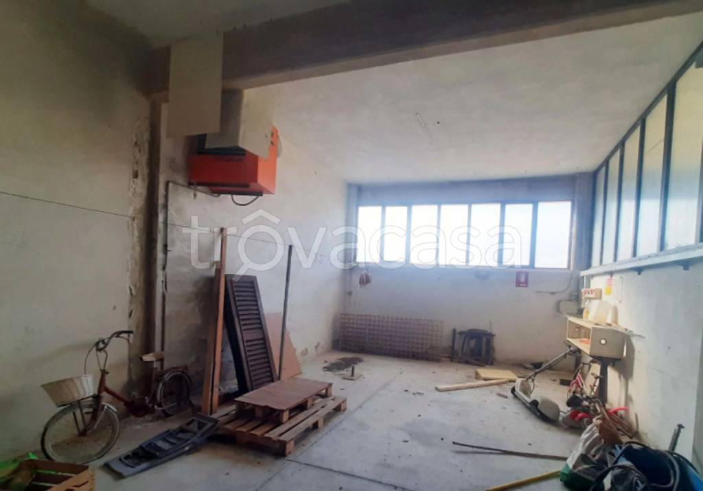 immagine annuncio 7 di 12