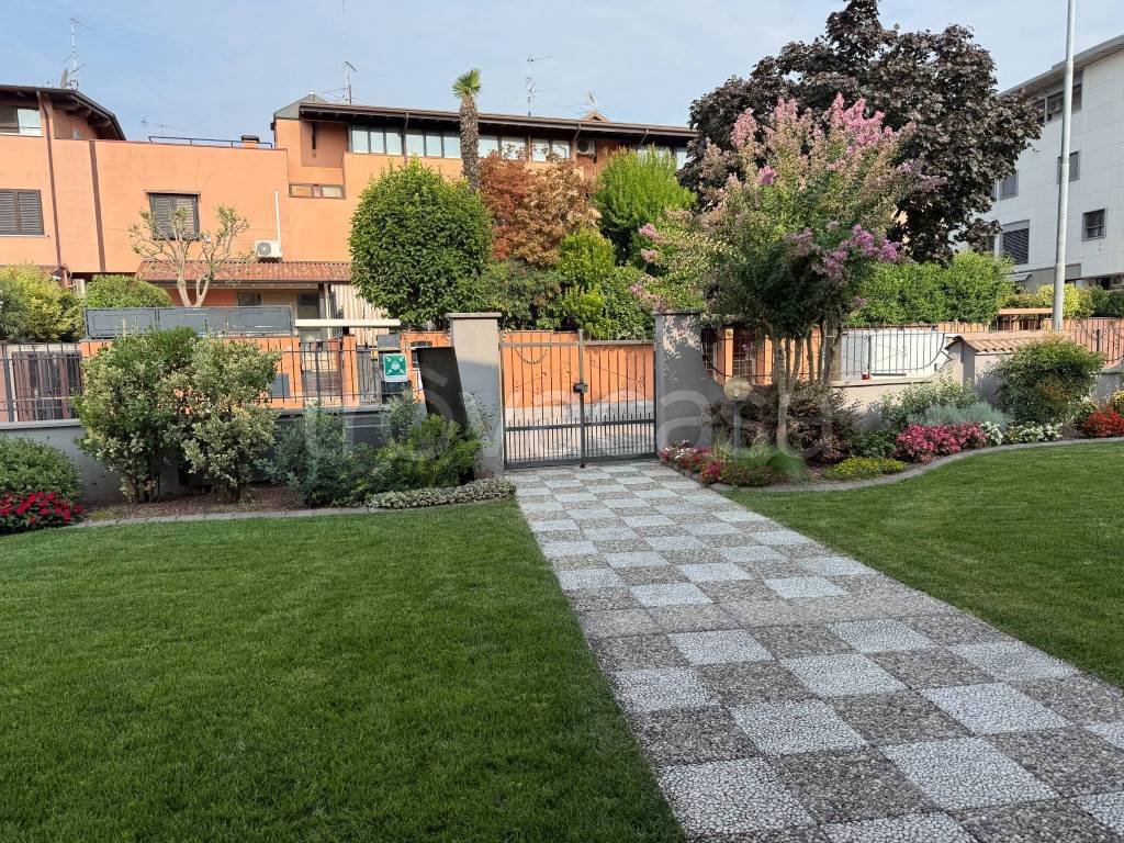 immagine annuncio 4 di 15