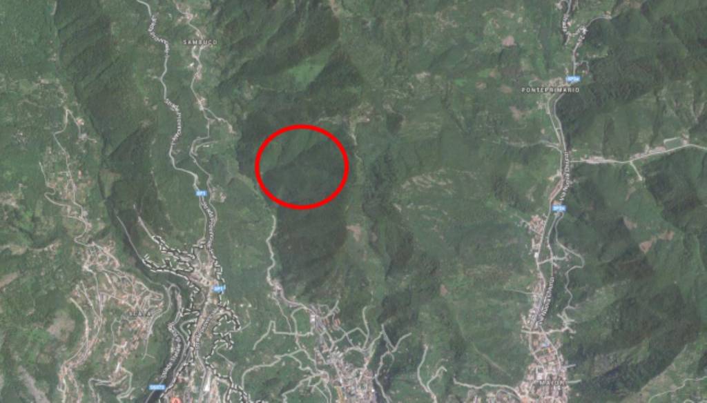 immagine annuncio 1 di 11