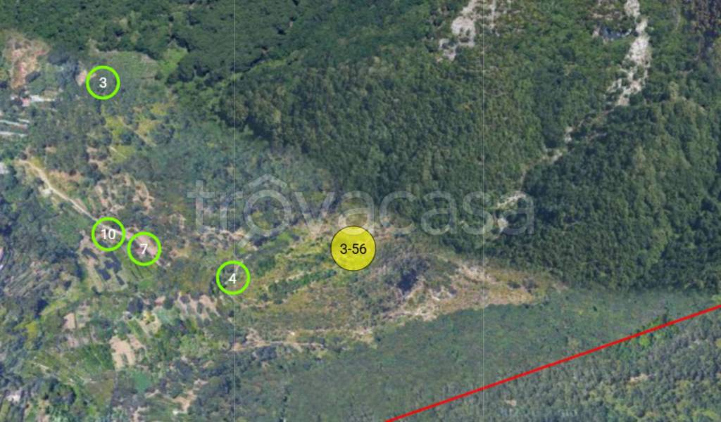 immagine annuncio 9 di 11