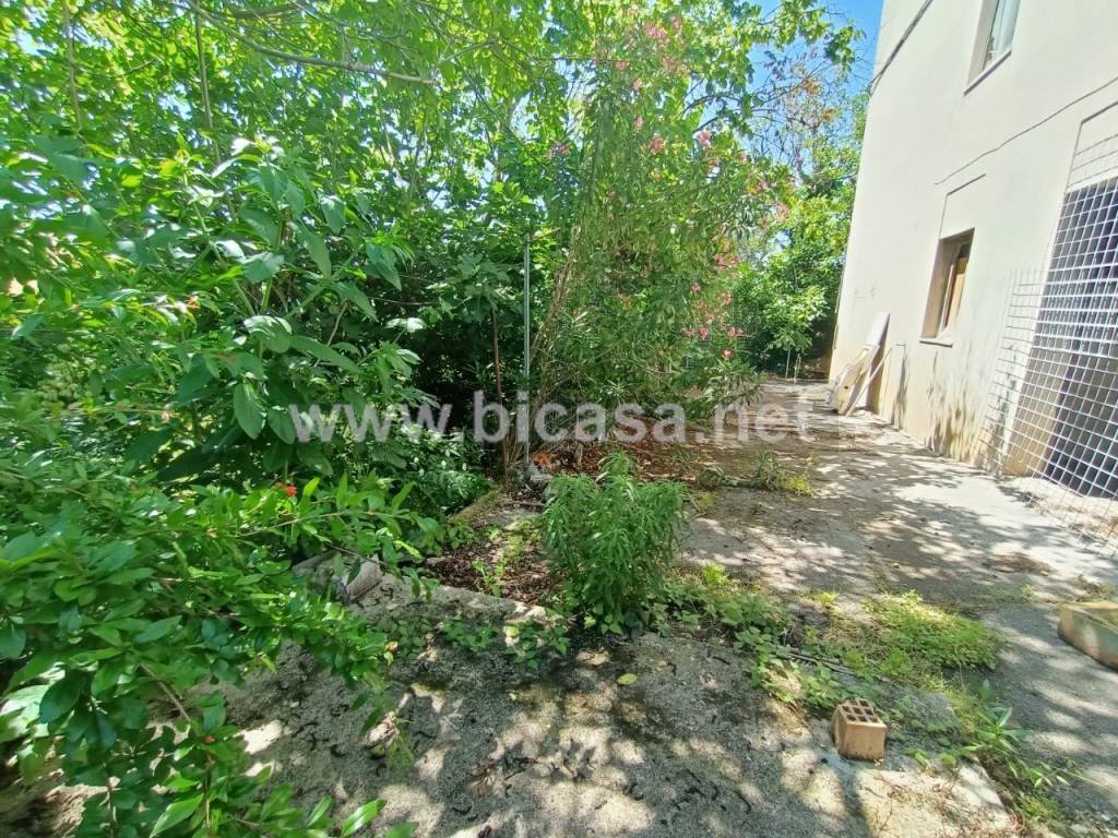 immagine annuncio 3 di 11