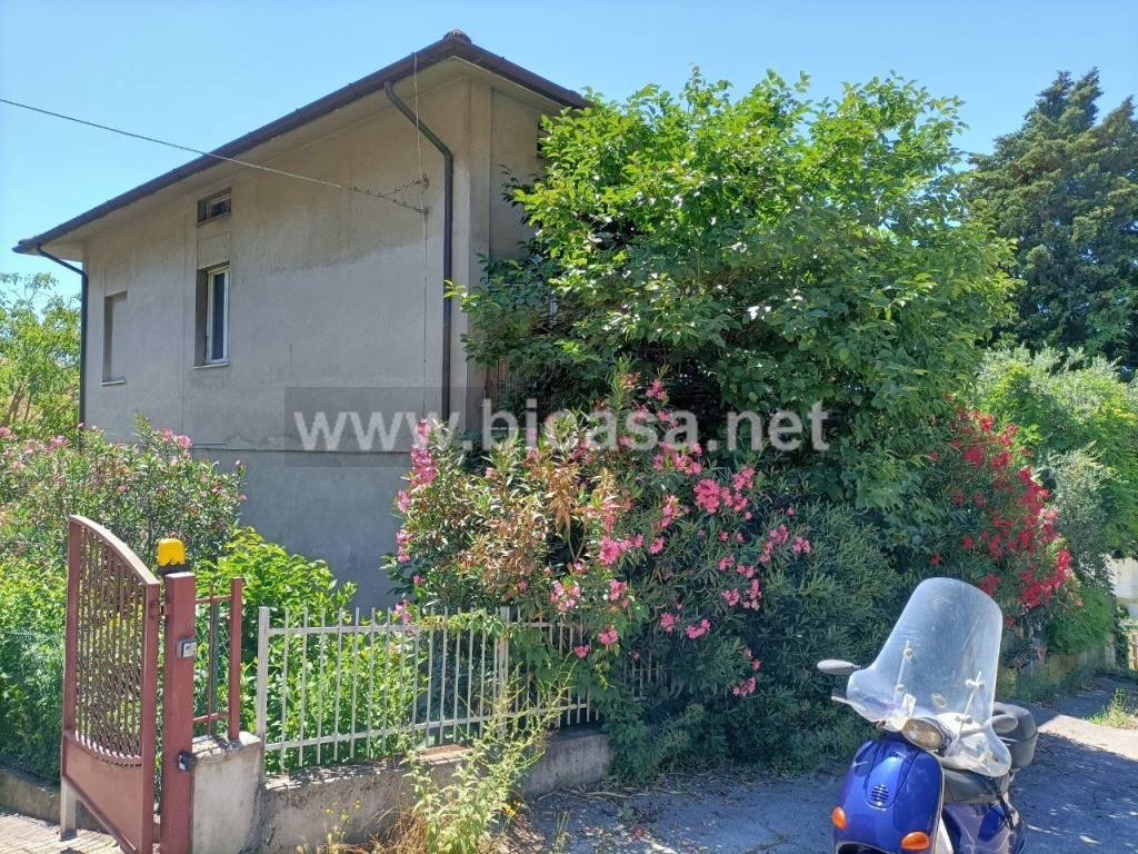 immagine annuncio 10 di 11