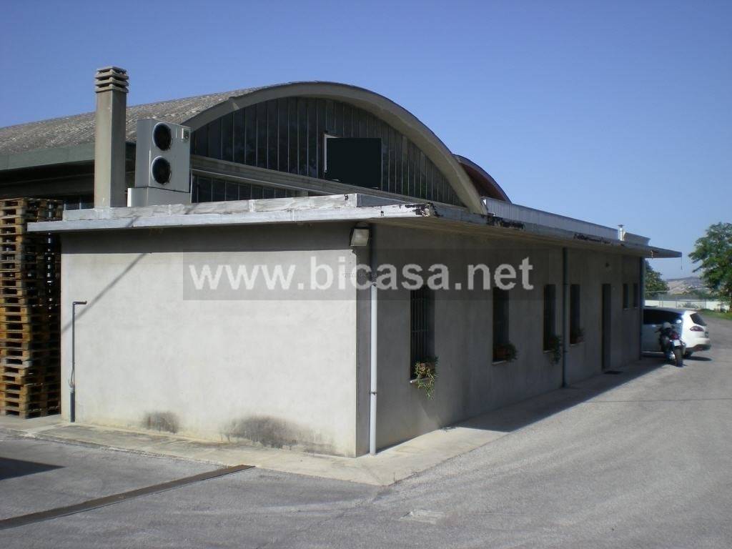 immagine annuncio 1 di 4