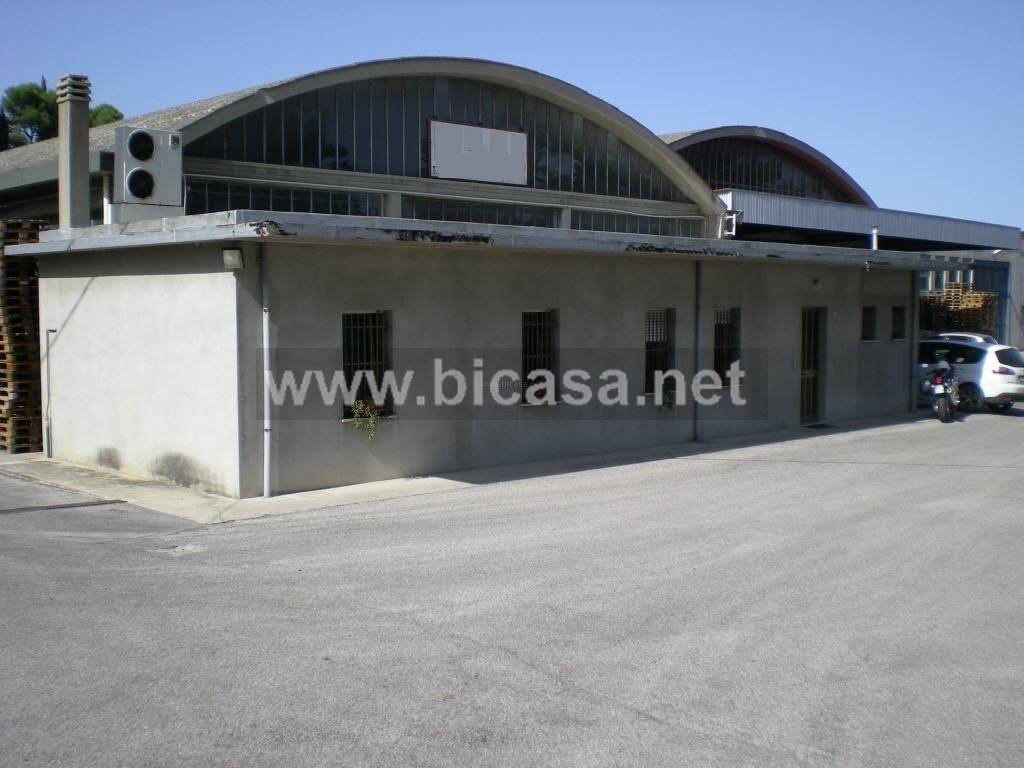 immagine annuncio 2 di 4