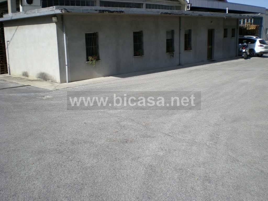 immagine annuncio 3 di 4