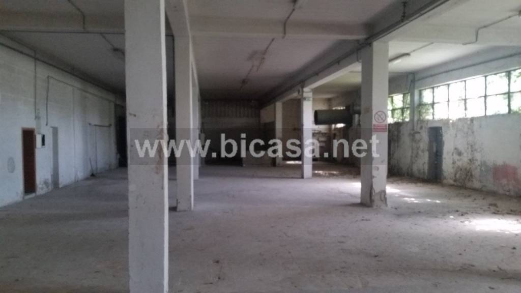 immagine annuncio 4 di 7